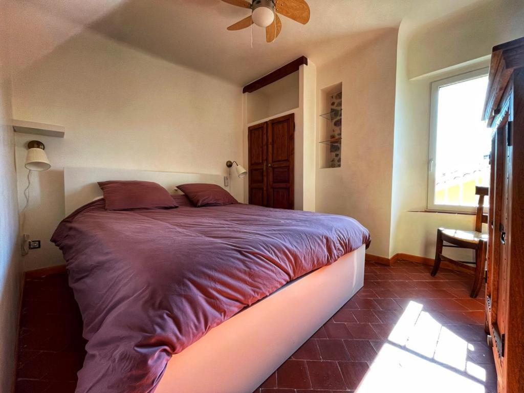 La Maison De Lily, Cosy Dans Le Vieux-Hyeres, Parking Gratuit Dış mekan fotoğraf